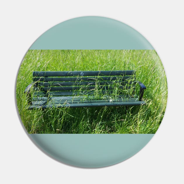 Bench in the grass photo design Pin by OnuM2018