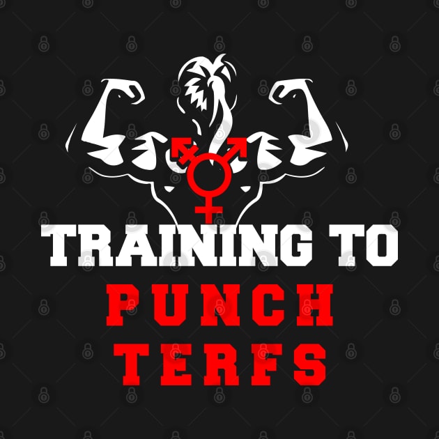 training to punch terfs by remerasnerds