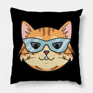 Cool Cat Pillow