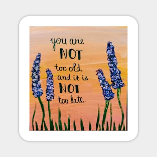 you are not too old and it is not too late Magnet