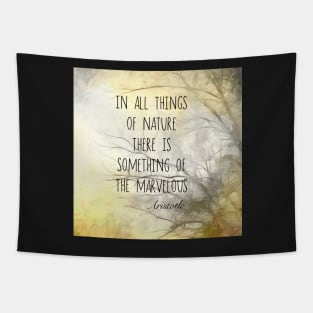 Nature Quote Aristotle Literary Quote Tapestry