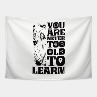 Online learning Tapestry