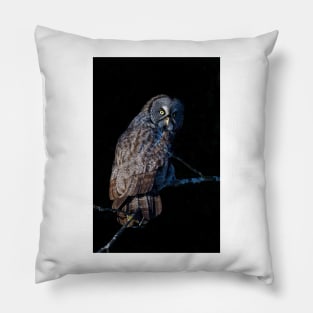 Spotlit - Great Grey Owl Pillow