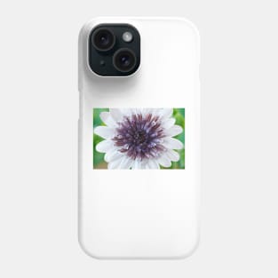 Osteospermum  Flower Power Double Series  Double White Phone Case