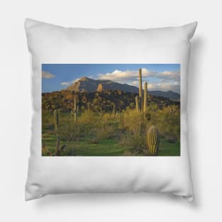 Saguaro Cacti Picacho Mountains Picacho Peak State Park Pillow