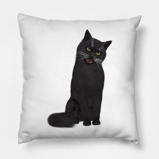 Adorable Siberian Black cat Pillow