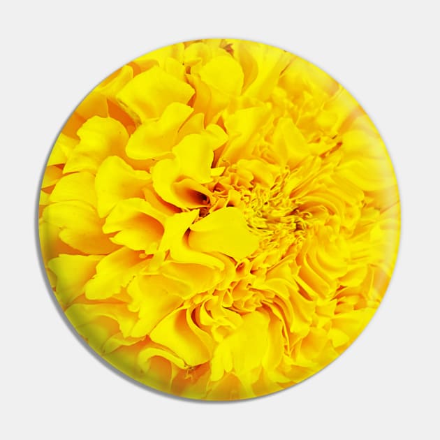 Pretty Yellows Pin by kcrystalfriend