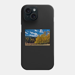 Fall Aspens Phone Case