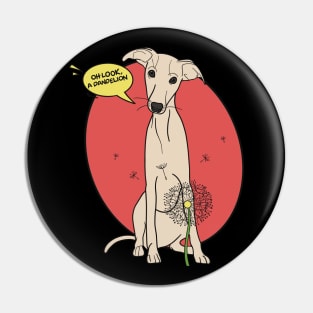 Funny greyhound design; Fawn Italian greyhound with a dandelion flower Pin