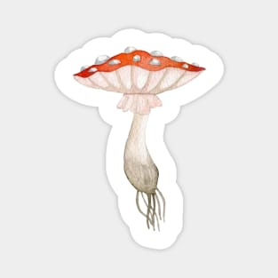 Mushroom Master Fly Agaric Magnet