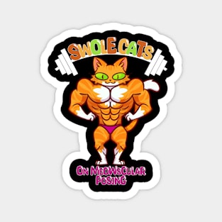 SWOLE ORANGECAT Magnet