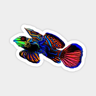 Mandarin Goby Magnet