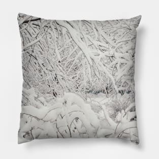 SNOW Pillow