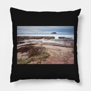 Seacliff at low tide. Pillow