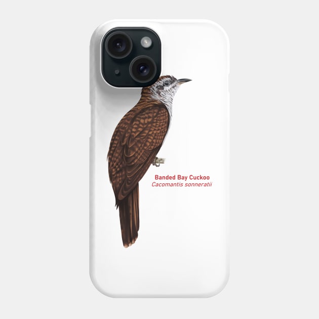 Banded Bay Cuckoo | Cacomantis sonneratii Phone Case by bona 