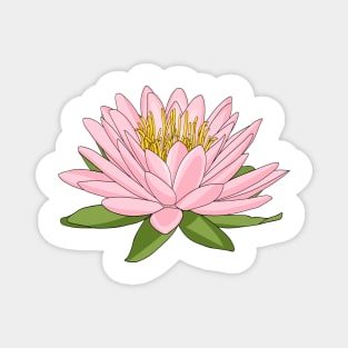 Pink lotus flower blooming Magnet