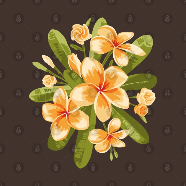 Orange Plumeria flowers by lents