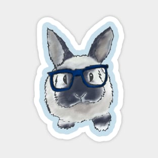 adorable bunny with glasses Magnet