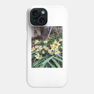 Tulips Phone Case