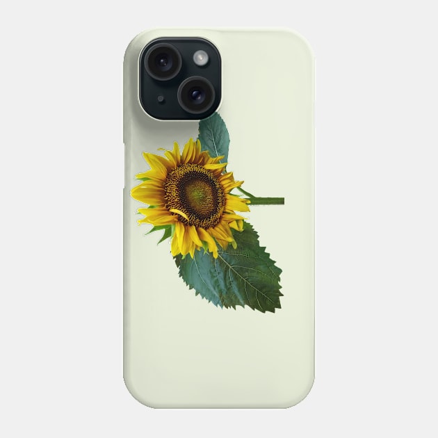 Sunflower Glancing Down Phone Case by SusanSavad