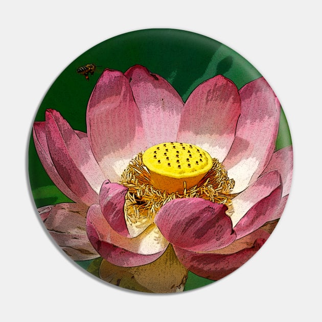 The sacred lotus Pin by jwwallace