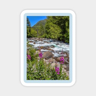 USA. Alaska. Wild River with Flowers in foreground. Magnet