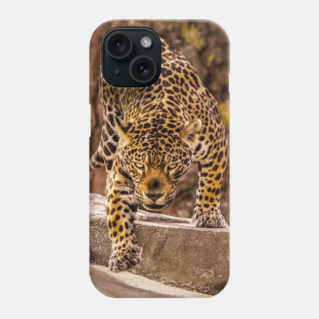 Jaguar Phone Case by mega281