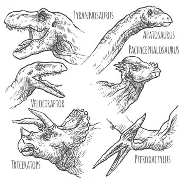 Dinosaurs Tyrannosaurus, Velociraptor, Triceratops, Pterodactyl. Kids T-Shirt by tfortwo