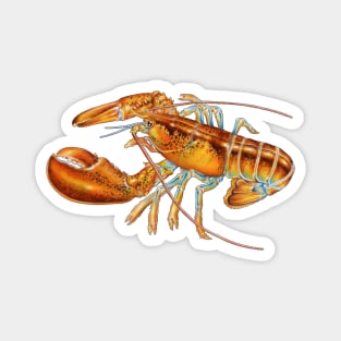 Maine Lobster Magnet