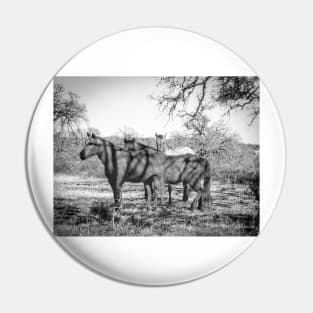 Wild Horses  - Black And White Pin
