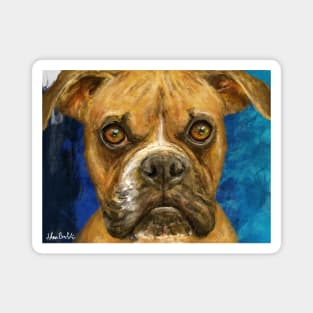 A painting of a brown Boxer looking straight at you Magnet