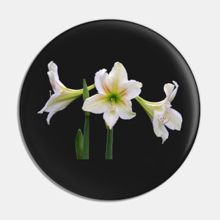 White Lily Pin