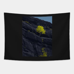 Black Rock Mountain - Landscape Tapestry