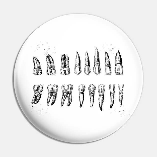 Tooth Charting Diagram