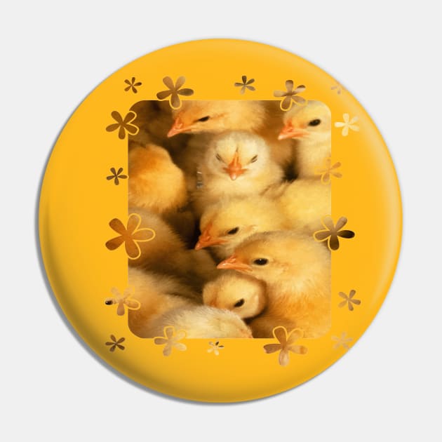 Clutch of Cute Yellow Fluffy Chicks With Decorative Border Pin by taiche