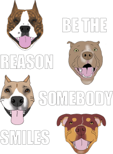 Be the Reason Somebody Smiles Magnet