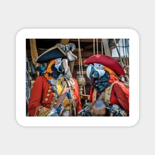 Macaw Parrots Pirate Ship Captains Magnet
