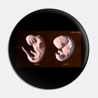 Embryos Pin