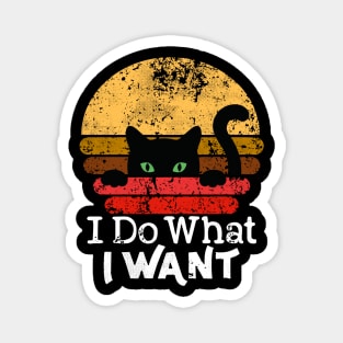 I Do What I Want Cat Vintage Kitty Lover Gift Funny Black Cat Magnet