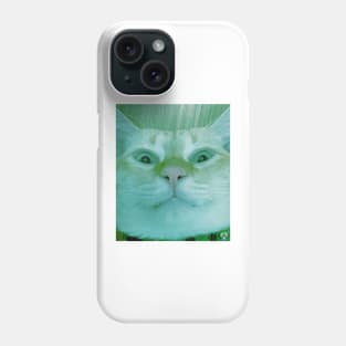 Cat stares into your soul v2 Phone Case