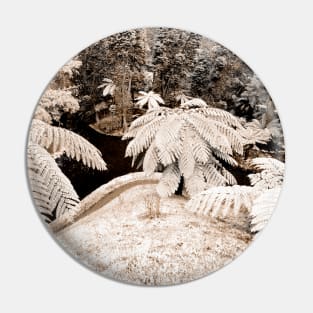 Tree ferns Pin