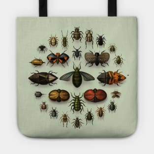 Circular Vintage Insect Entomology #2 Tote