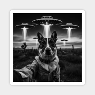 Selfie of Funny Dog And Aliens UFO - 2 Magnet