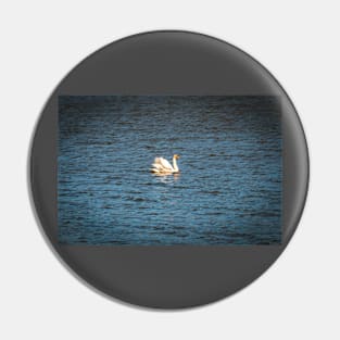 Swan lake Pin