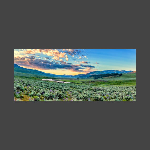 Lamar River Yellowstone by Gestalt Imagery