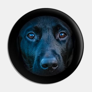 Black Lab's face Pin