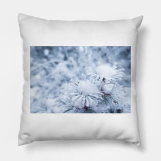 Hoarfrost on conifer tree needles Pillow