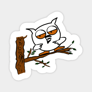 Cute Owl Magnet