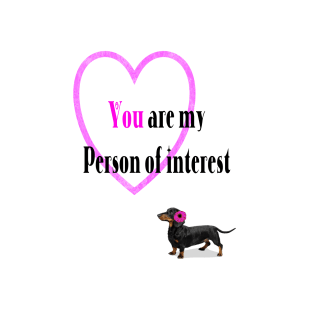 You are my person of interest, Valentines T-Shirt