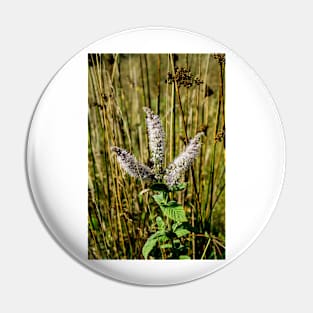 3142016 Wild flora Pin